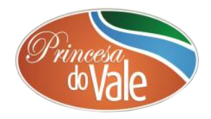 Rádio Nova Princesa